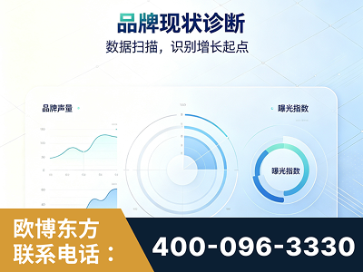 漠河-品牌现状诊断