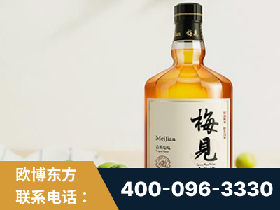 漠河-梅见青梅酒